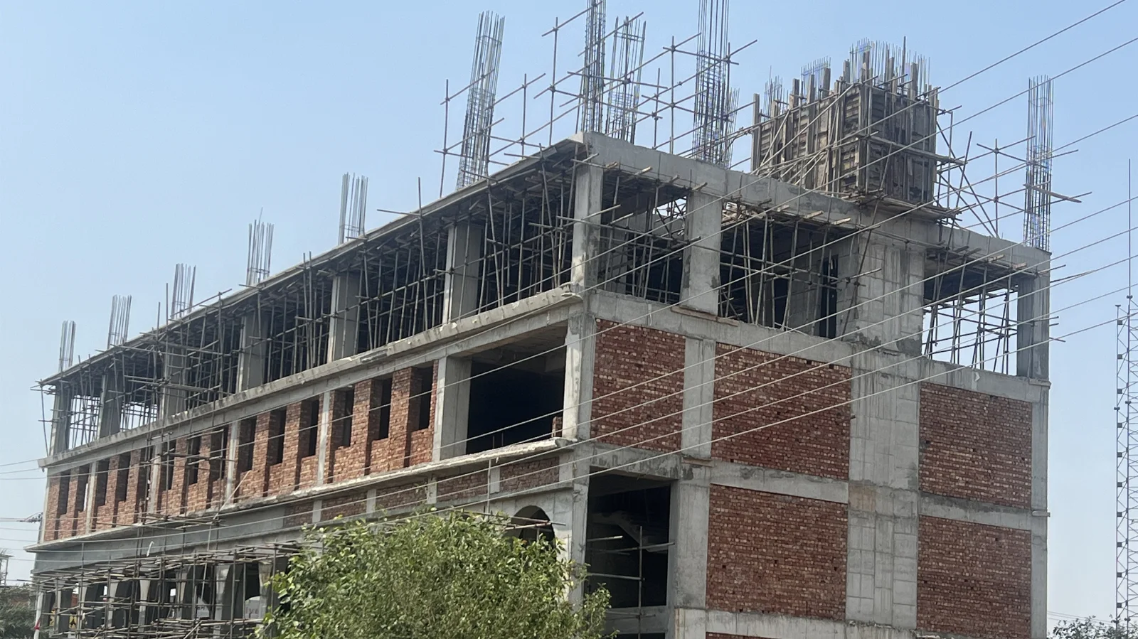 Construction & Project Management